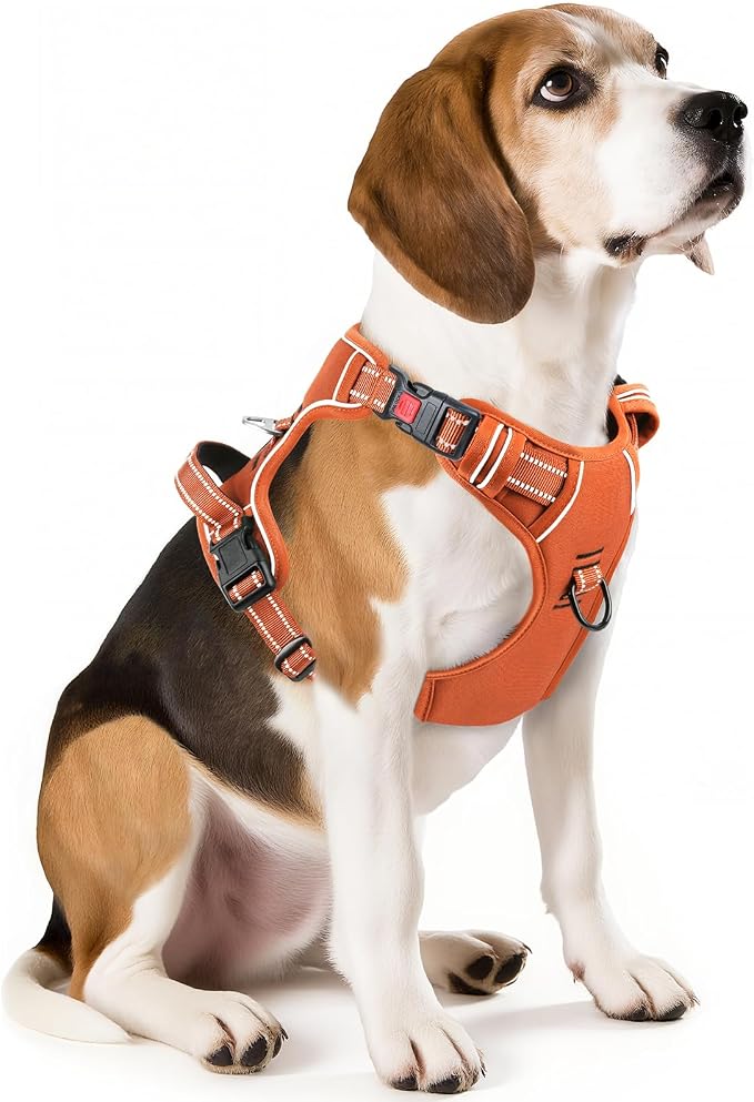 Timos Dog Harness, Front Clip No Pull Medium Sized with Handle, Orange, M | No Choke, Adjustable Reflective Soft Padded, Quick Release 3 Buckles, Easy On & Off, Front & Back 2 Clips for Outdoor Walking by Timos