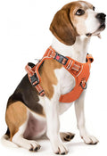 Timos Dog Harness, Front Clip No Pull Medium Sized with Handle, Orange, M | No Choke, Adjustable Reflective Soft Padded, Quick Release 3 Buckles, Easy On & Off, Front & Back 2 Clips for Outdoor Walking by Timos