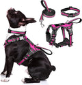 Pet Harness Collar and Leash Set, All-in-one Reflective Dog Harness No Pull with Adjustable Buckles for Puppies, Small, Medium, Large, and Extra-Large Dogs (Medium, Rosy) by WINSEE