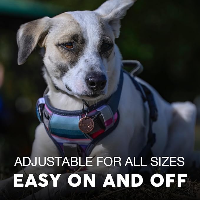 Embark No Pull Dog Harness, Reflective Adjustable Training Vest, No Choke | Adjustable straps fit all dog breeds with sturdy hooks; 360° reflective trim, soft padded Harness Design for All Dogs - Image 4