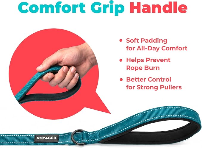 Best Pet Supplies Voyager Nylon Dog Leash - Turquoise, Medium | 5ft in Length, 3/4" in Width, Reflective, Soft Neoprene Handle, Heavy Duty Metal Clips for Running, Walking & Training - Image 5
