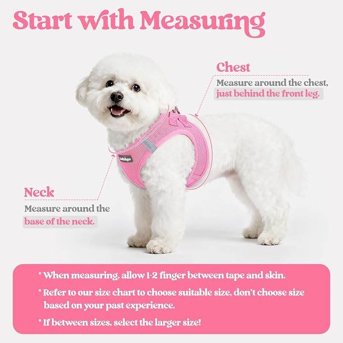 rabbitgoo Dog Harness Medium Sized and Leash Set, Step-in Puppy Pet Vest | Light, Soft, Breathable Air Mesh, Easy on and Remove with Hook & Loop, Secure Reflective for Walking, Light Pink XL - Image 2
