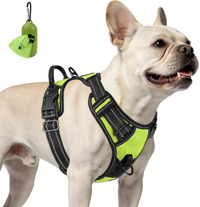 Joytale No Pull Dog Harness for Small Dogs, Front Clip, Green | Grab Handle for Instant Control, Padded & Adjustable Vest, Sturdy Metal D-Rings, for Safe Training & Daily Walking by Joytale