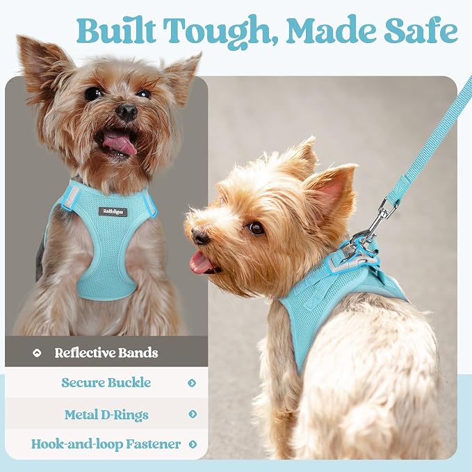 rabbitgoo Dog Harness Small Sized and Leash Set, Step-in Puppy Pet Vest | Light, Soft, Breathable Air Mesh, Easy on and Remove with Hook & Loop, Secure Reflective for Walking, Mint Blue S - Image 7