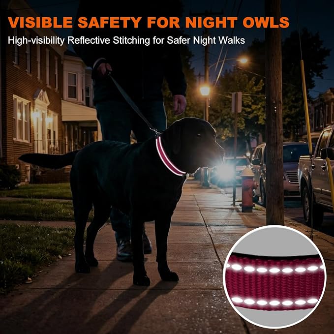 Taglory Reflective Dog Collar for Large Dogs, Comfort for Safe Night Walks | Soft Neck Cushioning, Adjustable 16-24 in, Sturdy Webbing Withstands Strong Pullers, Zinc Alloy D-Ring for Leash and ID Tags - Image 5