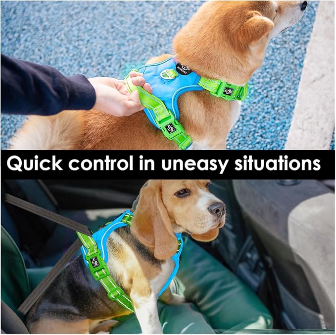 No Pull Dog Harness, Unique Colors Reflective Adjustable Dog Vest | with Soft Training Handle Metal Clips for Small Medium Large Dogs (Blue Base & Green Straps,XL) - Image 5