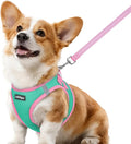 rabbitgoo Dog Harness Small Sized and Leash Set, Step in Soft Vest | Breathable Mesh, Easy Wear with Hook & Loop, Light and Reflective for Walking, Multi-colored, Teal & Pink, L by rabbitgoo