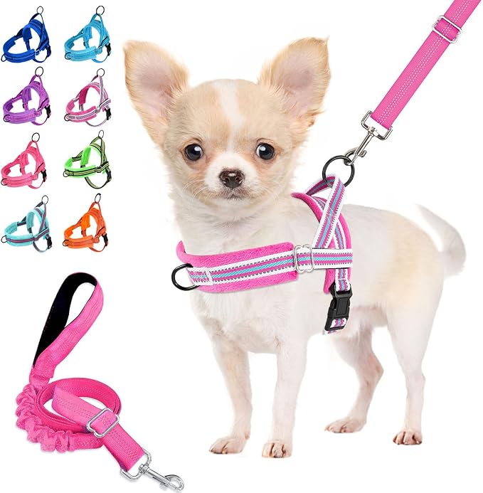 Lukovee Small Dog Harness and Leash Set, No Pull Soft Padded Vest | Both Neck & Chest Adjustable, Reflective, Puppy Harness with 4ft Lightweight Anti-Twist Dog Leash for Small Dogs (Fuschia,XS) by Lukovee