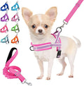 Lukovee Small Dog Harness and Leash Set, No Pull Soft Padded Vest | Both Neck & Chest Adjustable, Reflective, Puppy Harness with 4ft Lightweight Anti-Twist Dog Leash for Small Dogs (Fuschia,XS) by Lukovee