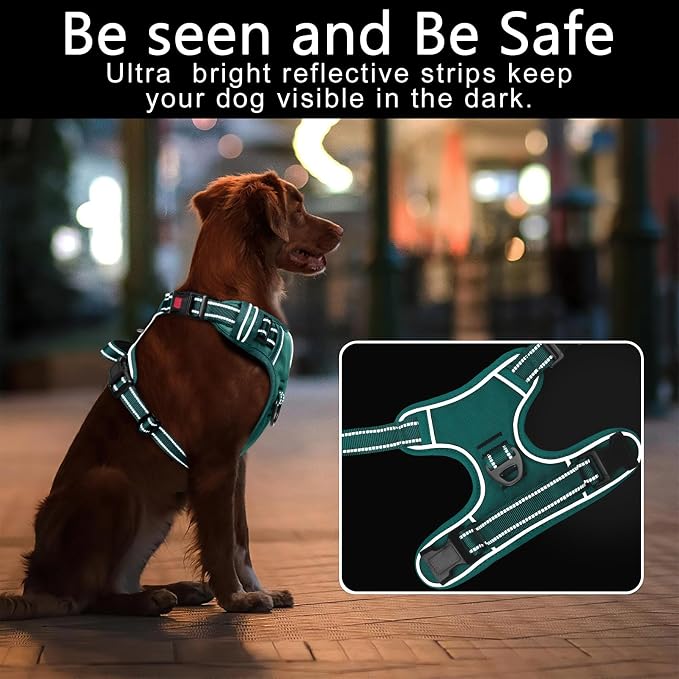 Timos Small Dog Harness, No Pull No Choke, Easy On & Off, Grass Green, S | Adjustable Reflective Soft Padded, Neck Quick Release with 3 Buckles, Front & Back 2 Clips and Handle for Walking Training - Image 3