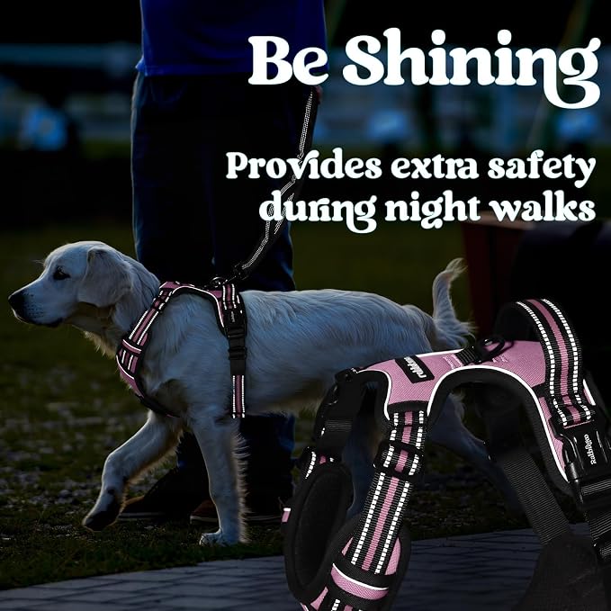 rabbitgoo Dog Harness for Large, Updated Easy On & Off with 3 Buckles | No Pull No Choke, Walking with 2 Clips and Handle, Adjustable Soft Reflective, Pink, X-large - Image 8