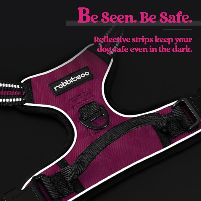 rabbitgoo Dog Harness, No Pull for Large Dogs with 2 Leash Clips, Pet Vest | No Choke with Handle, Adjustable Soft Padded, Reflective, Easy Control for Walking, Hot Pink, X-Large - Image 7