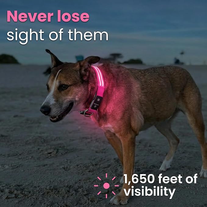 Tractive LED Light Up Dog Collar USB Rechargeable Waterproof (Pink) - Image 2