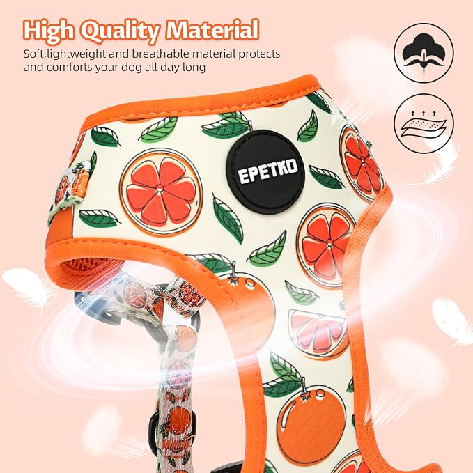 Small Dog Harness and Leash Set of 6, No Pull Soft Lightweight Mesh Puppy Harness， Adjustable Cute Floral Pattern Pet Harness for Small Medium Dogs (Orange, S) - Image 4
