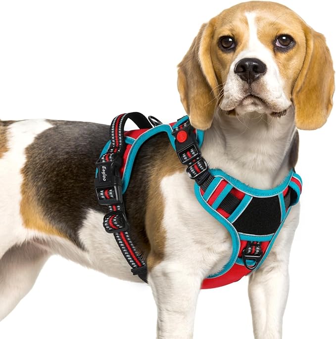 Eagloo Dog Harness No Pull for Small Dogs, Easy On & Off with 3 Buckles | No Choke with Front Clip, Adjustable Fit, MOLLE System, Reflective Vest, Easy Control for Walking, Red & Teal, Small by GoExplorewithEagloo
