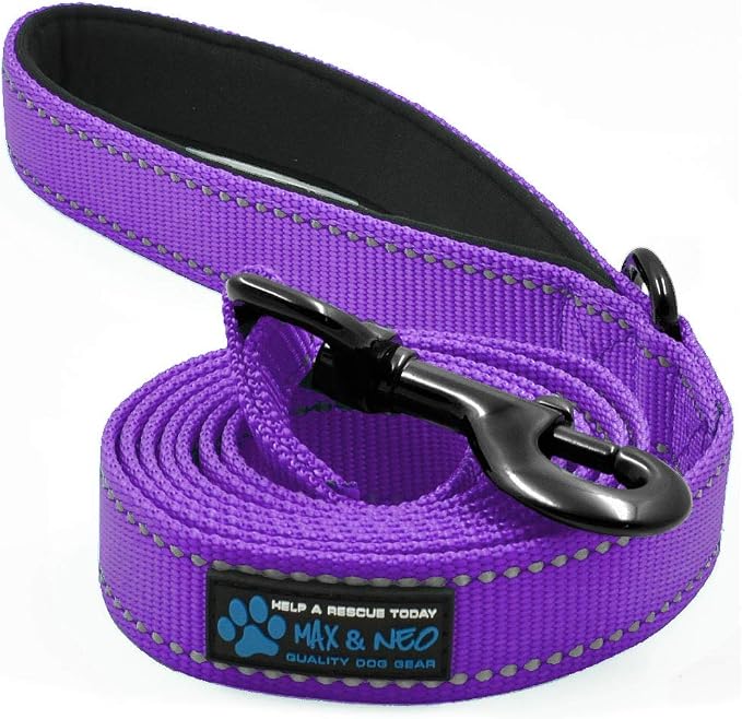 Max and Neo Reflective Nylon Dog Leash - We Donate One for Every Sold (Purple, 6ft) by MaxandNeo