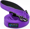 Max and Neo Reflective Nylon Dog Leash - We Donate One for Every Sold (Purple, 6ft) by MaxandNeo