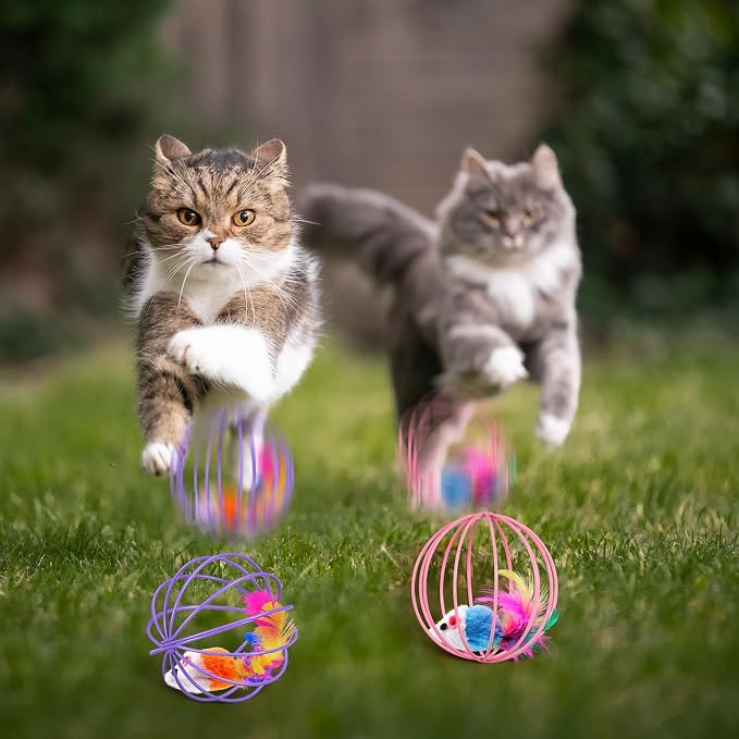 Jecery 5 Pcs Cat Toys Spring,Metal Cage,Multicolor | Interactive Metal Cat Toy, Stretchable Rolling Ball, for Indoor Cats, Colorful Playful Coils, Kitten Pet Supplies - Image 6