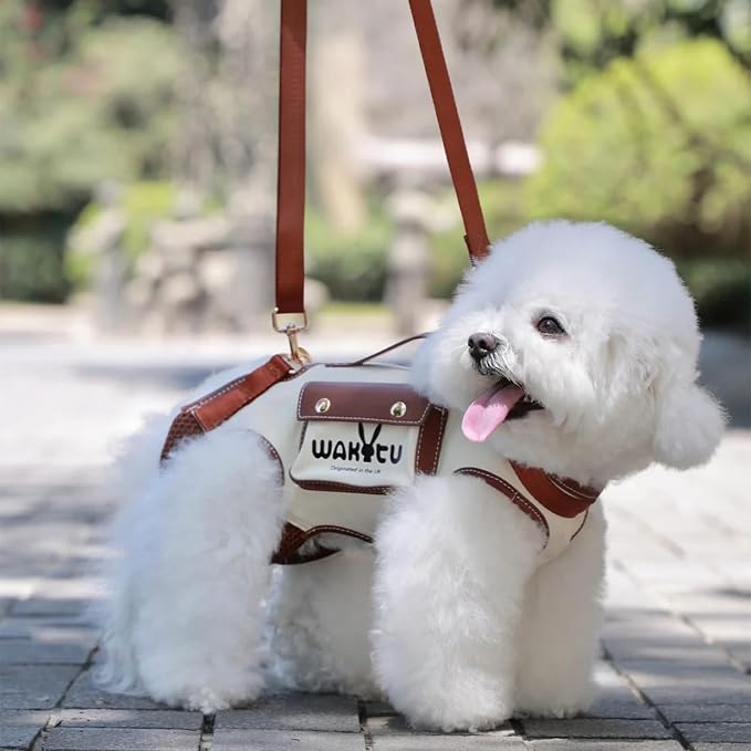 Wakytu Dog Lift Harness Dog Carrier VES Harness Adjustable Leash with Small Puppy Treat Bag,Fits Most Cars,XS | stylish puppy sling carrier with handle & pocket,adjustable leash,walking & travel - Image 2