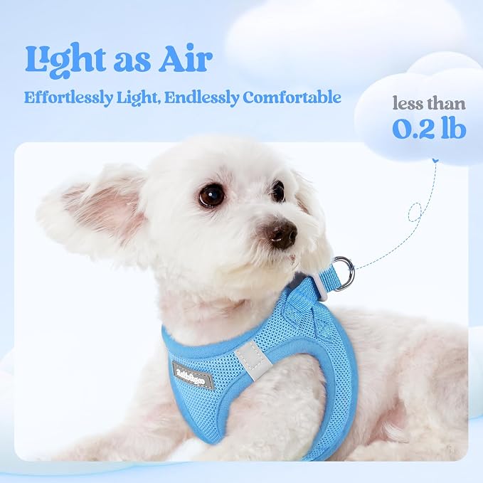 rabbitgoo Dog Harness Medium Sized and Leash Set, Step-in Puppy Pet Vest | Light, Soft, Breathable Air Mesh, Easy on and Remove with Hook & Loop, Secure Reflective for Walking, Blue XXL - Image 4