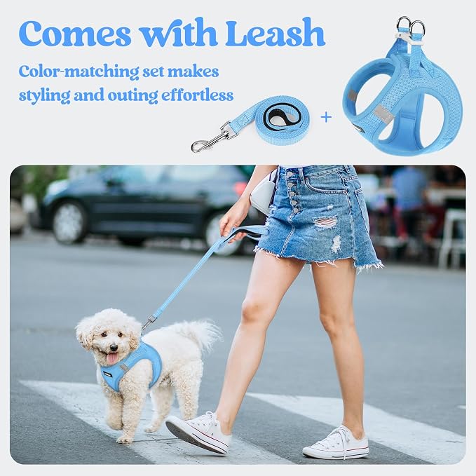 rabbitgoo Dog Harness Small Sized and Leash Set, Step-in Puppy Pet Vest | Light, Soft, Breathable Air Mesh, Easy on and Remove with Hook & Loop, Secure Reflective for Walking, Blue S - Image 5