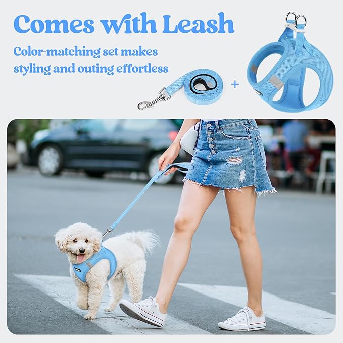rabbitgoo Dog Harness Medium Sized and Leash Set, Step-in Puppy Pet Vest | Light, Soft, Breathable Air Mesh, Easy on and Remove with Hook & Loop, Secure Reflective for Walking, Blue XXL - Image 5