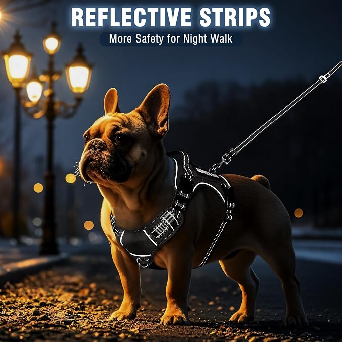 Tactical Dog Harness and Leash Set Medium Sized Dog+10 Dog Patches | Adjustable No Pull Service Animal Dog Vest with Dog Seat Belt,Padded Handles,Reflective Easy Walk for Training Hiking Black M - Image 7