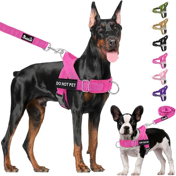 Lukovee No Pull Dog Harness and Leash Set, Soft Padded Vest with Front Clip | Adjustable, No Choke, Reflective,Durable Easy Control Pet Vest Harness for Safe Walking for Medium Large Dogs (FU, L) - Image 9
