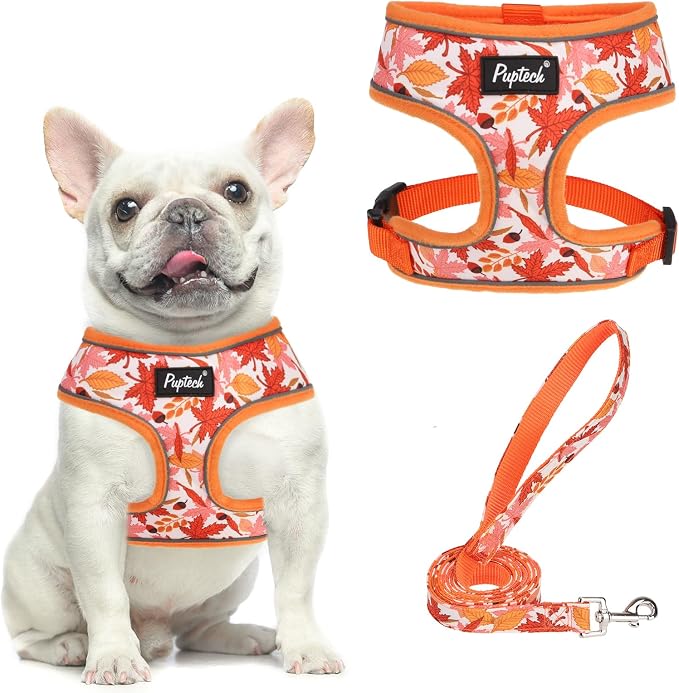 PUPTECK Small Dog Harness and Leash Set No Pull for XS XXS Sized Dogs Puppy | Escape Proof No Choke Pet Cat Adjustable Soft Padded Walking Vest by PUPTECK