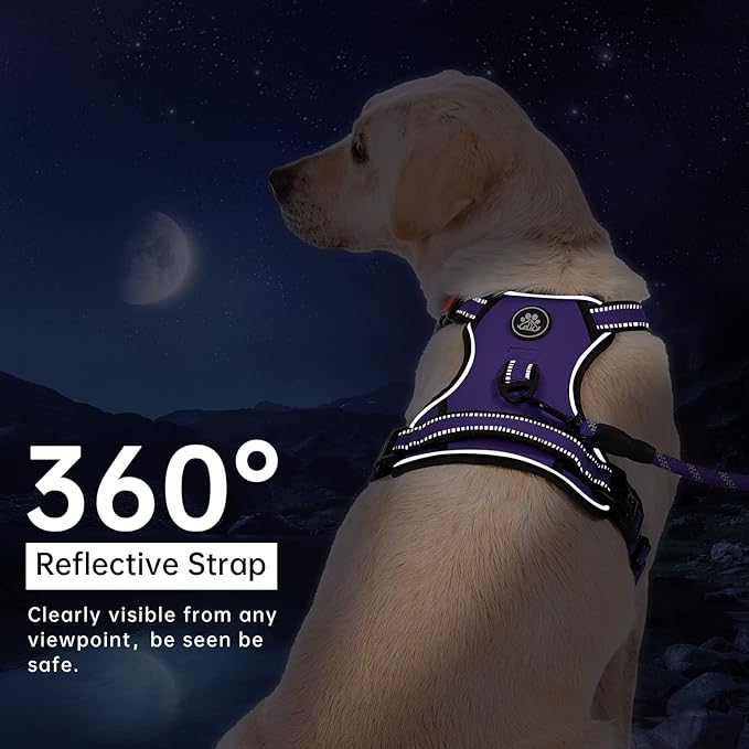 IVY&LANE No Pull Dog Harness for Small Dogs, Dog Vest Harness with Leash, Safety Belt and Storage Strap, Fully Adjustable Harness, 360° Reflective Strip, Soft Handle (Purple, XS) - Image 6