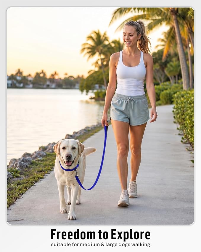FunTags Reflective Nylon Dog Leash for Medium & Large Dogs, 6FT for Walks | Comfortable Padded Grip, Stay Safe at Night, 360° Anti-Tangle Swivel, for Dog Parks & Trails, Royal Blue - Image 5