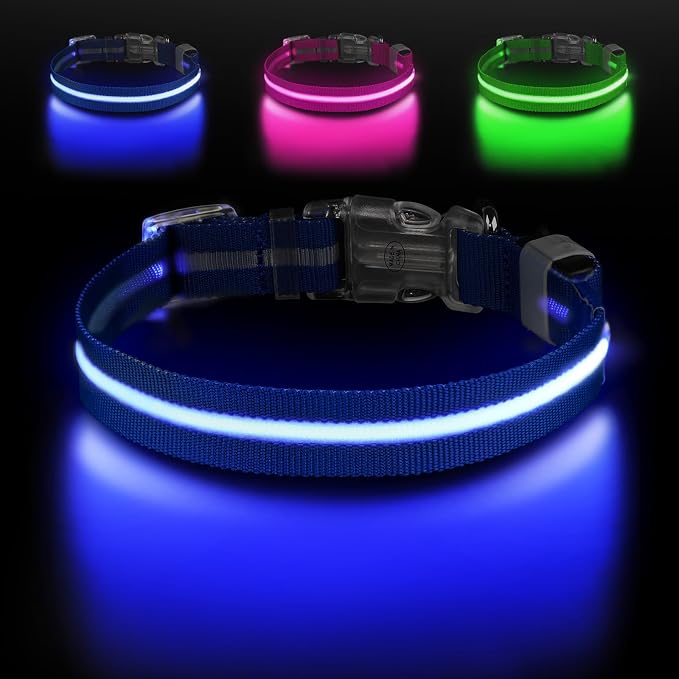 LED Dog Collar, Light Up Dog Collar USB-C Rechargeable Waterproof | 360° Visibility Light Up Dog Collar, Adjustable Nylon Collar with 3 Modes for Small Medium Large Dogs Night Walking Blue S by Jewyow