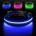 LED Dog Collar, Light Up Dog Collar USB-C Rechargeable Waterproof | 360° Visibility Light Up Dog Collar, Adjustable Nylon Collar with 3 Modes for Small Medium Large Dogs Night Walking Blue L by Jewyow