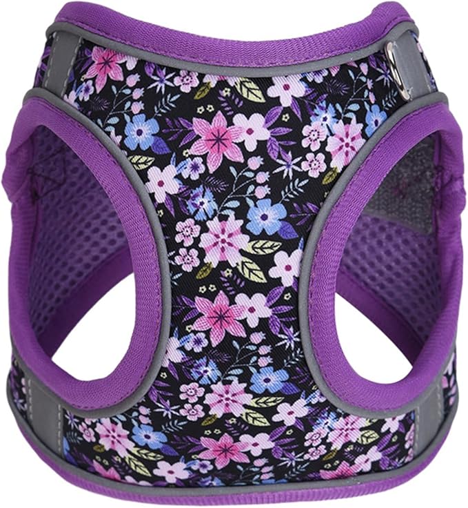 Step in Dog Harness No Pull Flower Adjustable Soft Mesh Harness | Padded Reflective Pet Vest Harness and Leash Set for Small Medium Dogs - Image 3