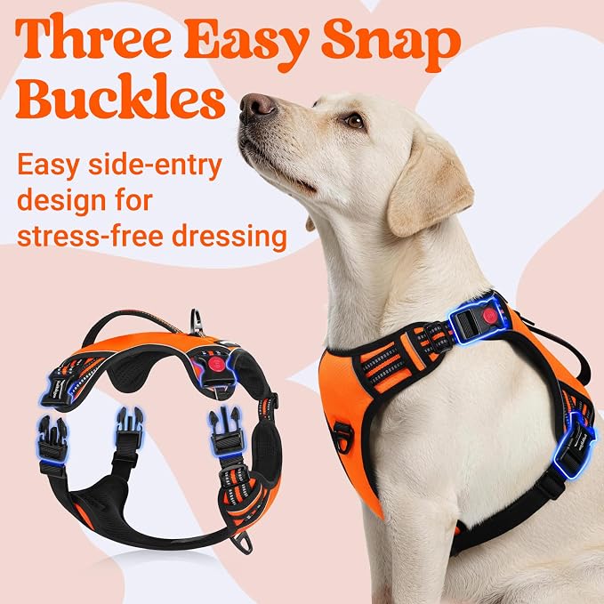 rabbitgoo Large Dog Harness, Easy Wear with 3 Buckles and Lift Handle | No Pull with Front Clip for Walking, Adjustable Soft Padded, Reflective, Easy Control, Orange, Large - Image 3