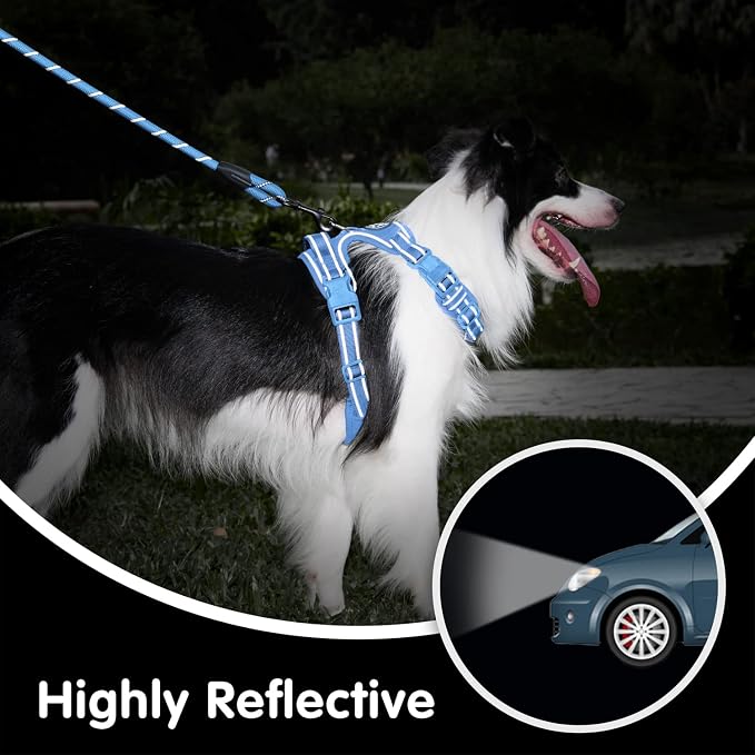 PoyPet Dog Harness and Leash Set, No Pull Vest with Front Clip and Handle | Escape Proof, Reflective, 3 Buckles, 2 D-rings, Adjustable, Soft Padded, 5 Feet Leash, for Walking Training, Light Blue, L - Image 7