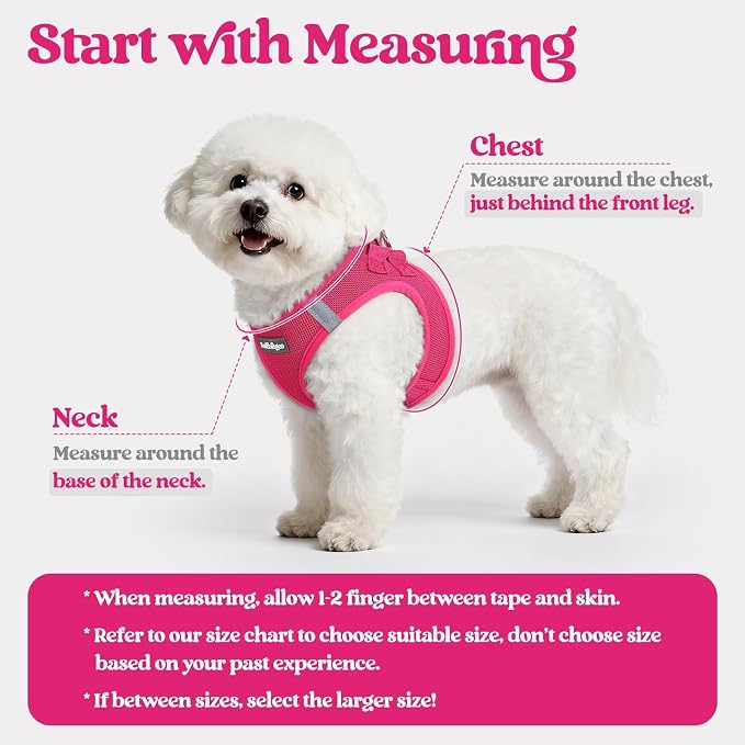 rabbitgoo Dog Harness Medium Sized and Leash Set, Step-in Puppy Pet Vest | Light, Soft, Breathable Air Mesh, Easy on and Remove with Hook & Loop, Secure Reflective for Walking, Rose Red XL - Image 2