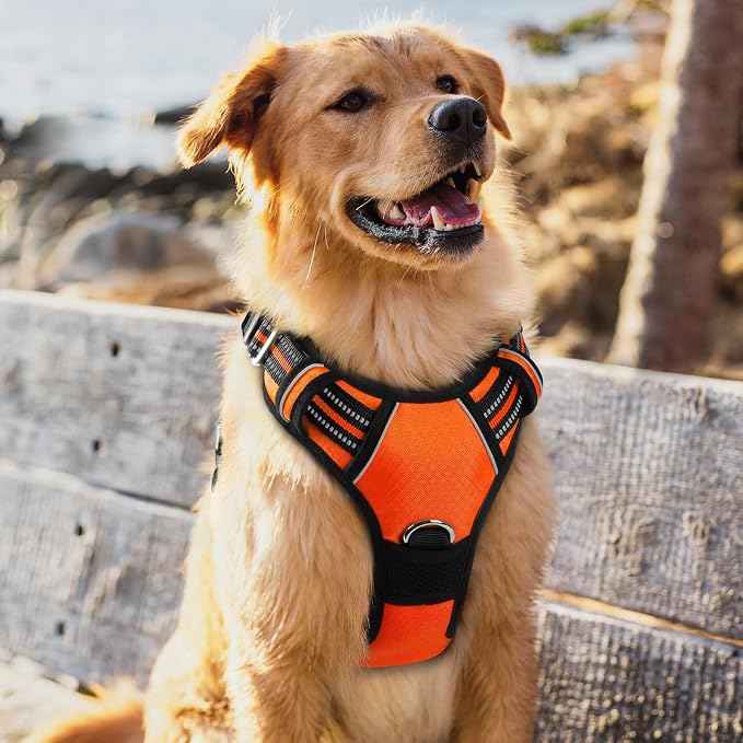 rabbitgoo Dog Harness for Large, No Pull 3 Buckles Easy On & Off | Soft Padded, Walking with Control Handle, Adjustable and Reflective, Orange, X-Large - Image 8
