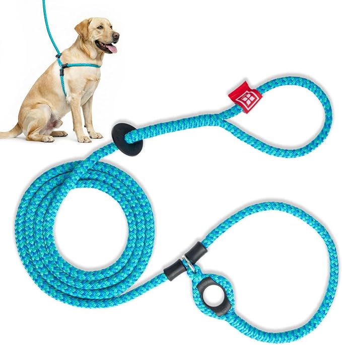 Harness Lead No Pull Dog Harness and Leash Set, Anti Pull Dog Harness for All Breeds and Sizes, One-Piece Cushioned Rope Design Safely Prevents Escaping and Pulling (Medium/Large, Blue/Multi) by HarnessLead