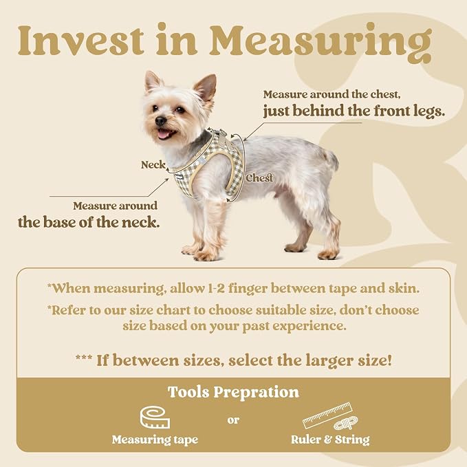 rabbitgoo Step-in Small Dog Harness, Puppy Vest for Small Sized Pet | Easy Put on and off, Lightweight, Soft, Breathable Quick-Dry Air Mesh for Comfortable Secure Walking, Beige Check S - Image 2