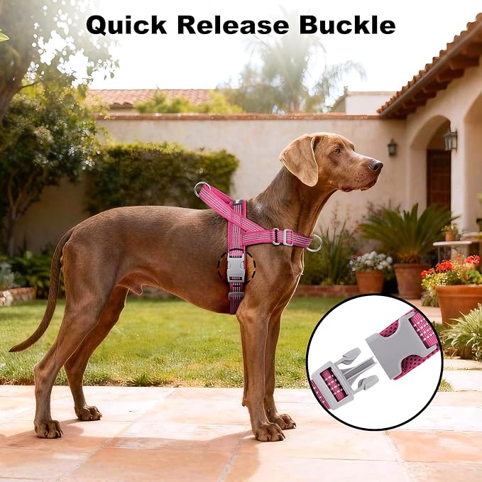 No Pull Dog Harness with Handle, Adjustable Soft Mesh Padded Vest | Reflective Walking Harness with Front Clip for Small Medium Large Dogs, Quick Fit No Escape for Training, Pink, S - Image 6