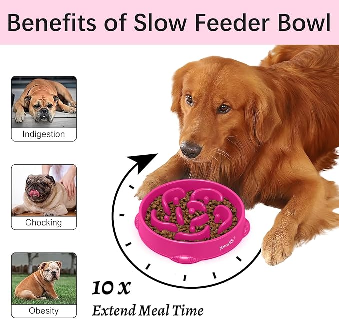 MateeyLife 1-Pack Slow Feeder Dog Bowls, 4 Cups, Dog Puzzle Feeder Bowl | Food-contact safe, dishwasher safe, non-slip base, maze design, for fast eaters, for dogs and cats, daily mealtimes - Image 2