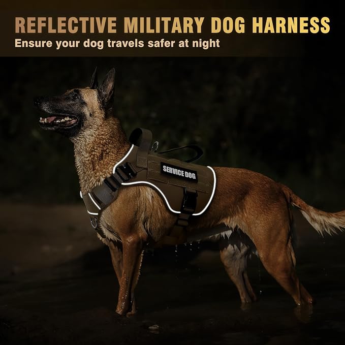 2X Metal Buckle Service Working MOLLE Dog Vest with 10 Pet Patches | Tactical Dog Harness for Medium Dog, No-pull Military Working Vest for Training Hunting Walking，2x D Rings for Leash Clip - Image 7