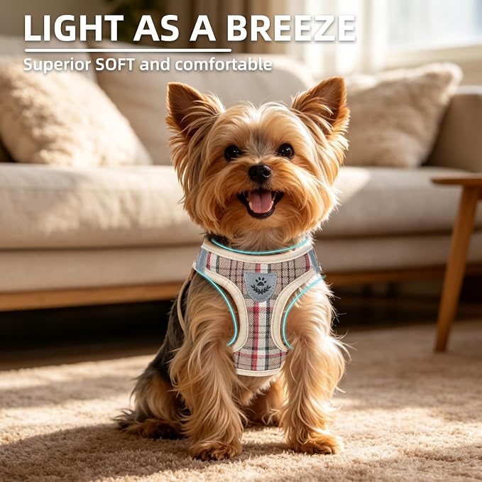 PUPTECK Dog Harness, Collar and Leash Set No Pull for Small Medium Sized | Plaid Puppy Step-in Escape Proof Reflective No Choke Pet Cat Adjustable Walking Vest - Image 3