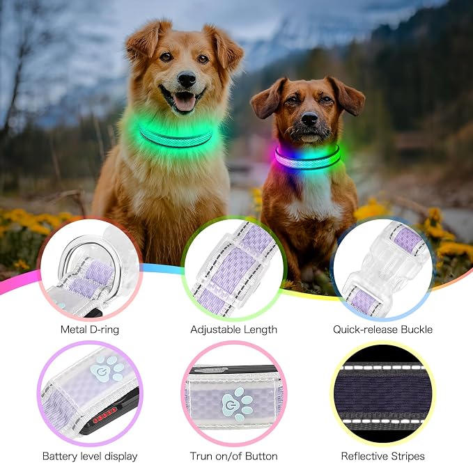 Flashseen Light up Collars for Dogs at Night, RGB 9-Mode, USB Rechargeable | Color Changing LED Lighted Dog Collar, Super Bright Adjustable Glow Collar for Night Walking (Lavender, Medium) - Image 4