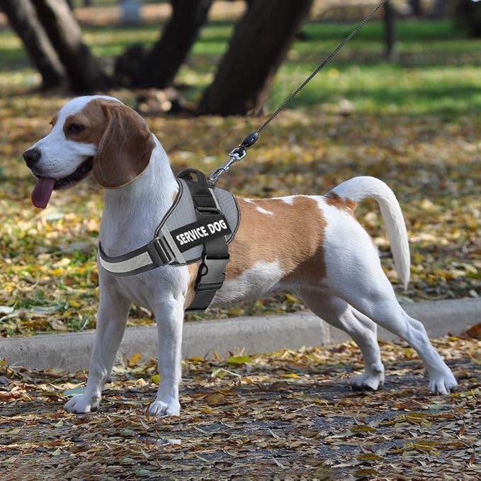 JSXD Dog Harness,No-Pull Service Dog Harness with Handle Adjustable Outdoor Pet Dog Vest 7M Reflective Nylon Material Vest for Breeds,Easy Control for Small Medium Large Dogs - Image 7