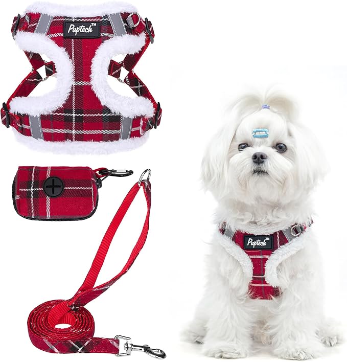 PUPTECK Dog Harness and Leash Set Small Sized, Step in No Pull Adjustable Puppy Cat Harness Reflective Pet Vest by PUPTECK