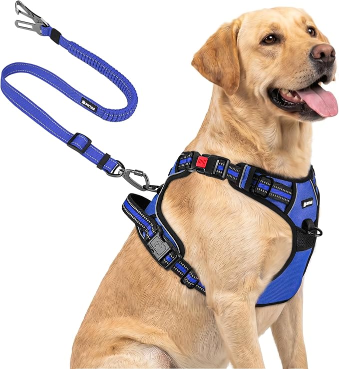 Joytale No Pull Dog Harness & Seat Belt, Easy On 3-Buckle, L, Navy Blue | Front Clip Reduces Pulling, Escape-Resistant Design, Adjustable Fit, Soft Padding for Comfort, Secure Tether for Safer Travel by Joytale