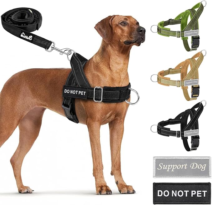 SlowTon No Pull Dog Harness with Front Clip - Heavy Duty, Soft Padded | Neck & Chest Adjustable, Tactical Pet Vest and Leash Set for Large Medium Sized Dogs, for Easy Walk & Training, Black XL by SlowTon