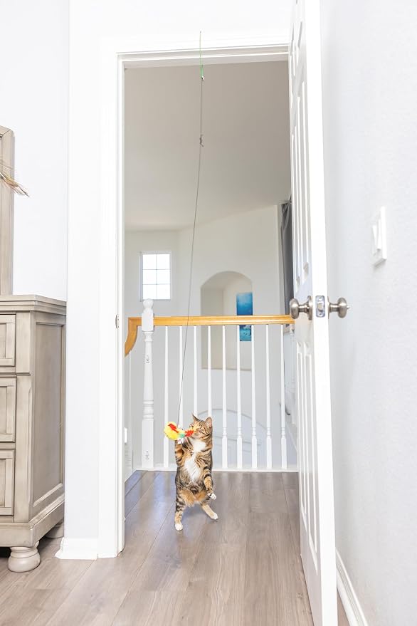 SPOT A-Door-Able Plush Bird Cat Toy | Rattle and Catnip Cat Toy Provides Hours of Entertainment for Your Cat | Hangs on Any Size Door Frame - Image 6